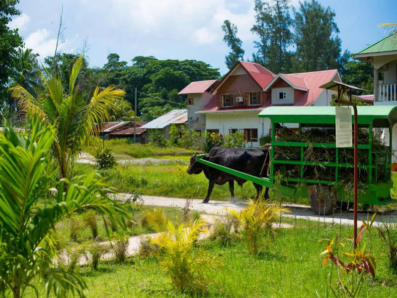 Zerof Self Catering Apartments La Digue Dış mekan fotoğraf